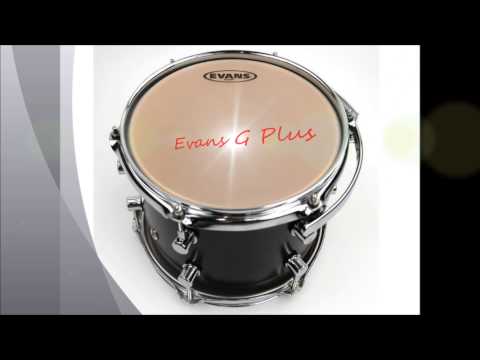 Drum Head Shootout - Evans, Remo, Aquarian on 12" Birch Tom