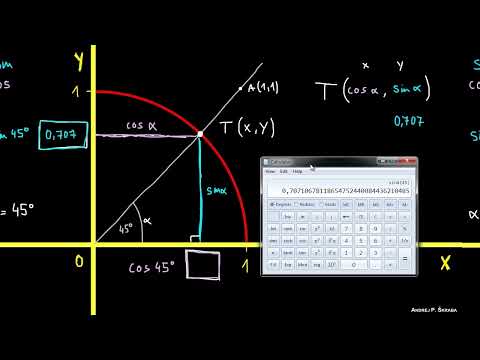 Cosa Sono Seno e Coseno?