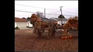 preview picture of video 'Pumpkins, Dresden Village, Ohio, USA'