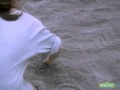 Classic Sesame Street W At The Beach