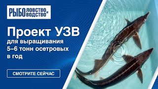 Журнал рыболовство и рыбоводство 2020