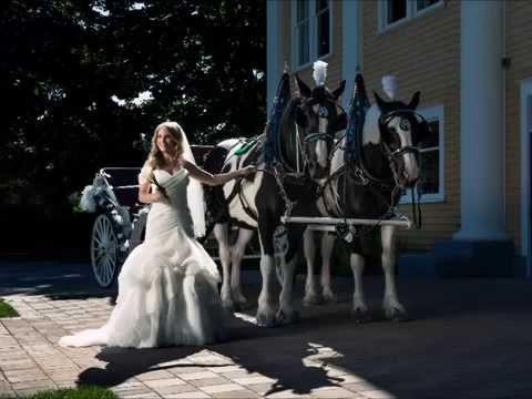 I Could Be The One - Avicii, Feat. Karla Sax