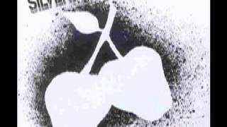 Silver Apples - Misty Mountain