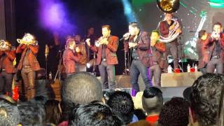 La adictiva LA ballena en el wild bill&#39;s atlanta