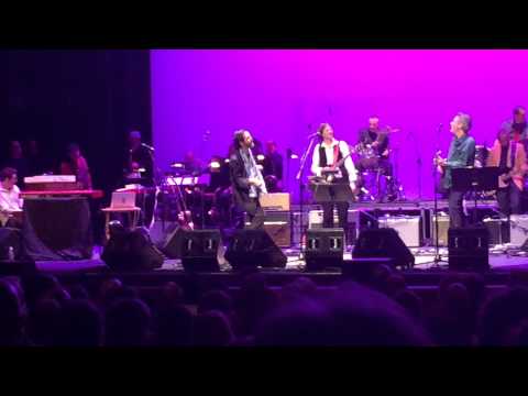 ALL DAY SUCKER "Lady Madonna"