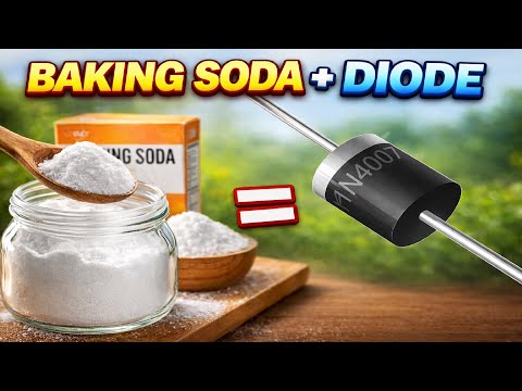 I Made a Diode Using Baking Soda at Home