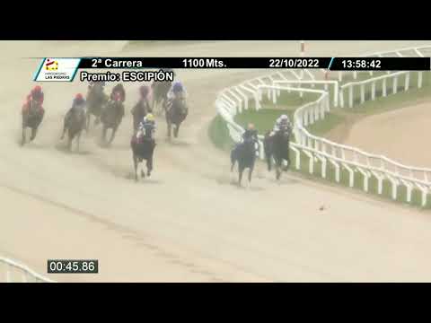 221022 c02 - OSA MAYOR - HIPODROMO LAS PIEDRAS