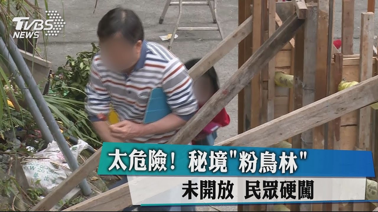 太危險！秘境「粉鳥林」未開放　民眾硬闖