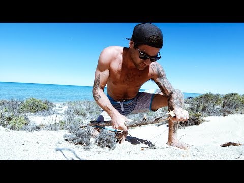 GIANT CRAYFISH CATCH AND COOK Stick Spear Fail With $20 Knife (Amazing Dolphins) - Ep 119