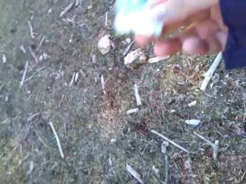 Piedra con forma de seta en la Ciudad Encantada de Cuenca.