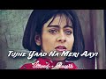 Tujhe Yaad Na Meri Aayi SLOWED REVERB Udit Narayan Alka Yagnik SB Lofi