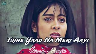 Download lagu Tujhe Yaad Na Meri Aayi_(SLOWED & REVERB)_Udit Narayan | Alka Yagnik | SB Lofi mp3