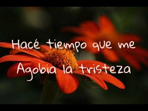 Dónde Te Has Ido Mujer video