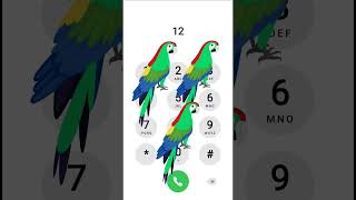 Download lagu VK - Do-Re-Mi iphone keypad 200#6 EP.167 | yes #memes 👀❤️🩹🥻🪜🦜 mp3 Download lagu VK - Do-Re-Mi iphone keypad 200#6 EP.167 | yes #memes 👀❤️🩹🥻🪜🦜 mp3