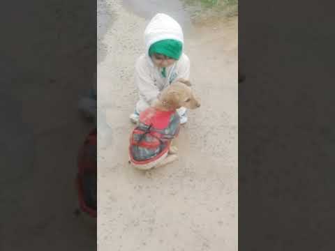 Dogs do speak, but only to those who know how to listen❣️