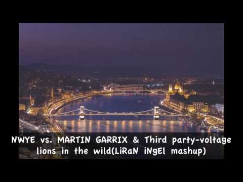 NWYE vs  MARTIN GARRIX & Third party voltage lions in the wild (LiRaN iNgEl mashup