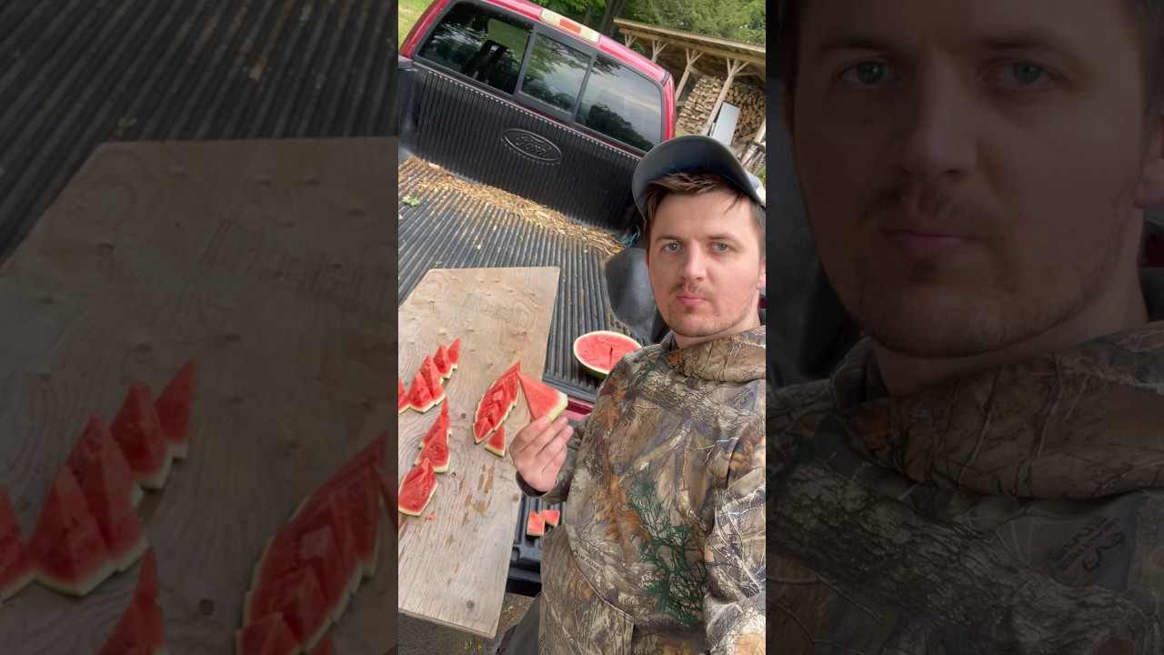 Professional Homeowner Cole Taylor #shorts