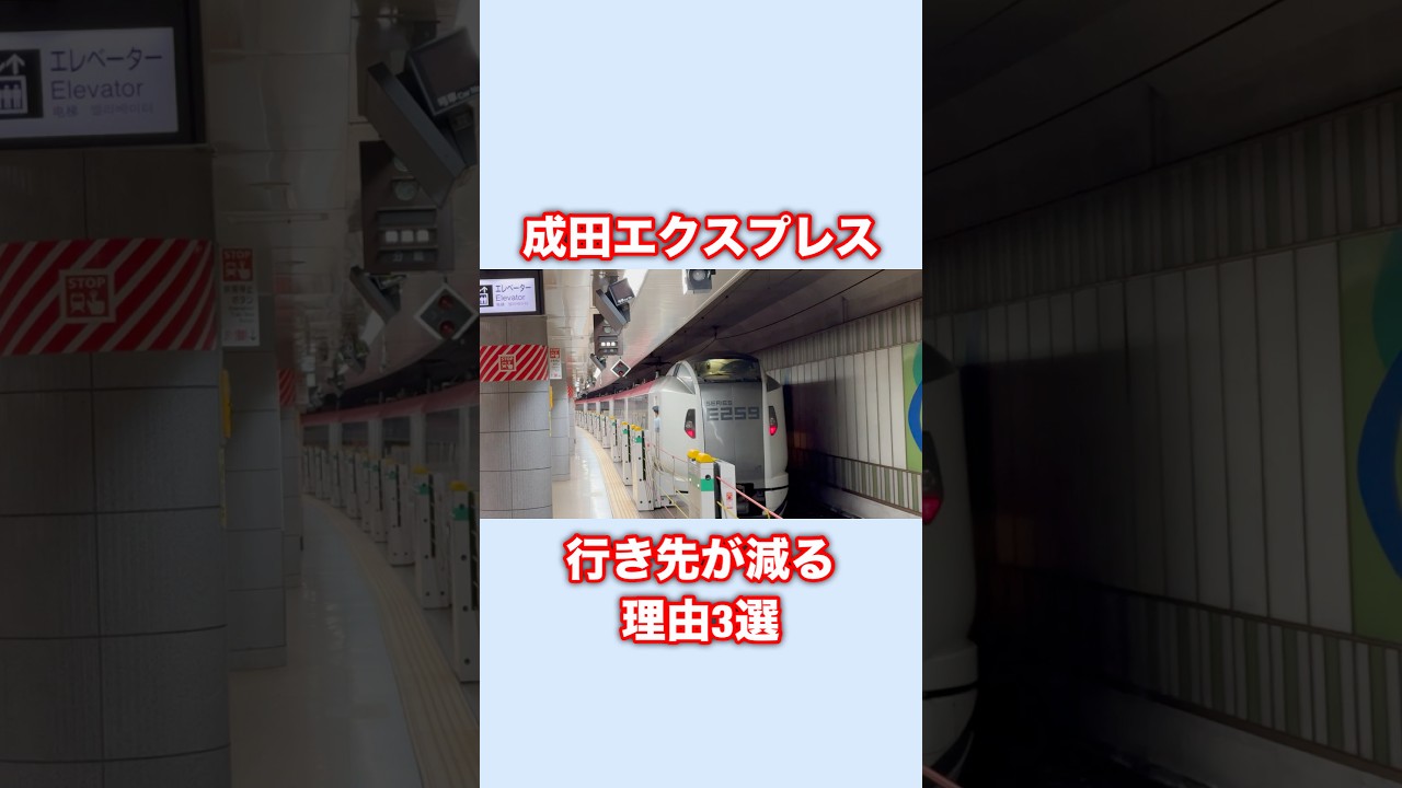 成田エクスプレスの行き先が減った理由3選