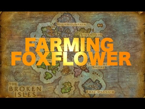 [Herbalism] Foxflower farming - Best Route - More Gold