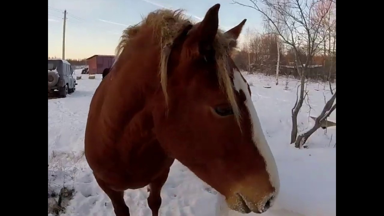 Один из объектов Тверская область