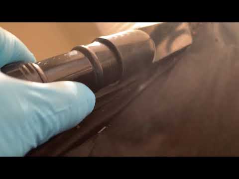 Exterminating Bed Bugs in Matawan, NJ