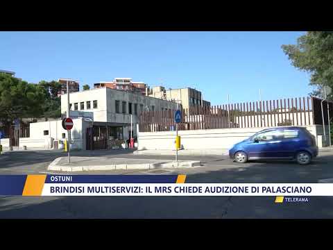 BRINDISI MULTISERVIZI: IL MRS CHIEDE AUDIZIONE DI PALASCIANO