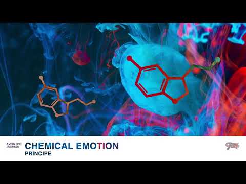 Principe - Chemical Emotion