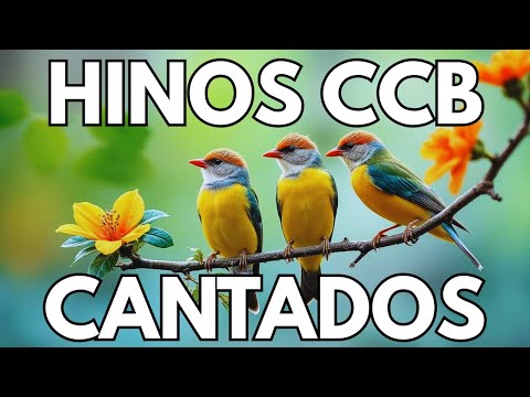 HINOS CANTADOS CCB - 19/12/2025 - 480 HINOS 1,2,3,4,5,6,7,8,9,10,11,12,13,14,15,16,17,18,19,20,21...