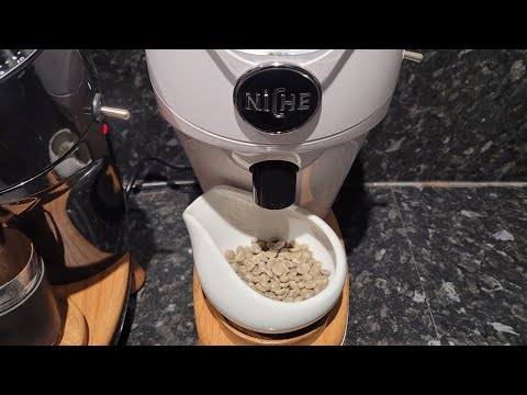 niche duo green bean test