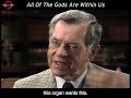 All The Gods Are Within Us