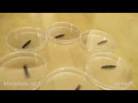 Functional Microbots from Big Hero 6