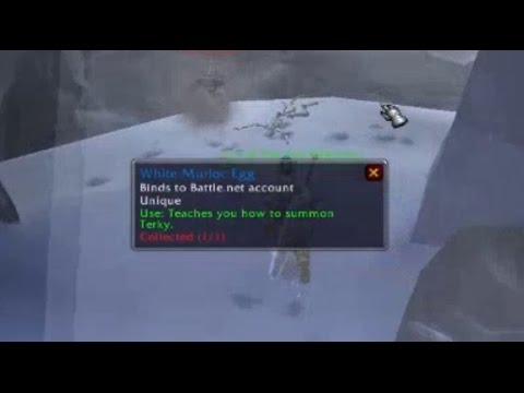 World of Warcraft - Terky location - New pet: White Murloc Egg (How to get Terky guide)