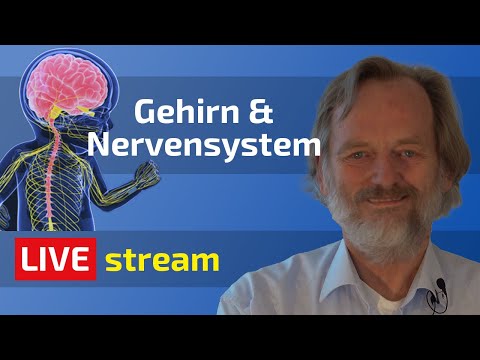 Grundlagen der Schüßler-Salze | Thema: Gehirn & Nervensystem | Friedrich Depke | Biochemie
