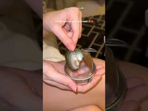 OYSTER PEARL NECKLACE •9645704680 insta@__arty._scale___ #craft #love #gift #craftart #artandcraft