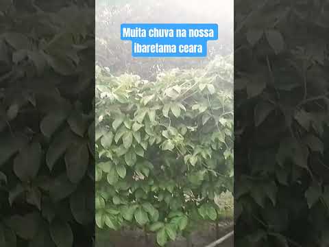 muita chuva na nossa querida ibaretama ceara dia 14 de março 2026