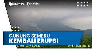 Gunung Semeru Kembali Erupsi, Luncurkan Lava Sejauh 4,5 Kilometer dari Puncak Jonggring Saloko