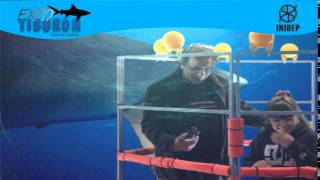 DIA 2 Expo Tiburon141