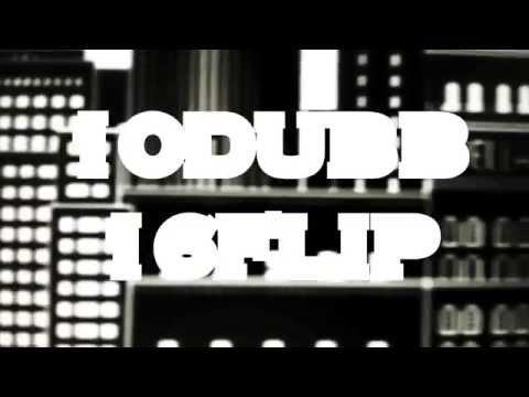 10DUBB / 16FLIP    - Trailer-