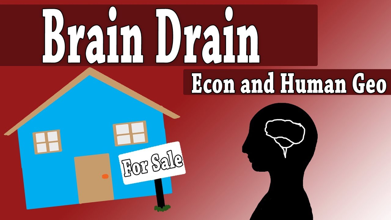What is brain drain in economics definition causes effects and examples