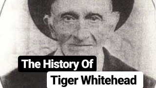 The History Of Tiger Whitehead