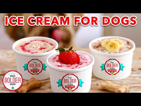 download lagu mp3 mp4 Puppy Ice Cream, download lagu Puppy Ice Cream gratis, unduh video klip Puppy Ice Cream