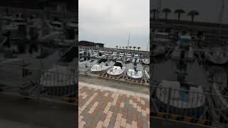 ぽて散歩♪ お久しぶりです♪