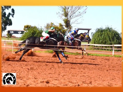 CHE PAJARITO - HIPODROMO DE POSADAS 6-8-23