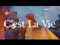 Steve Harmony - C'est La Vie - The City Boy ...