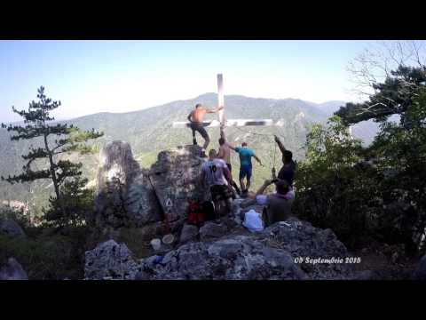 CRUCEA ALBA ,DOMOGLED