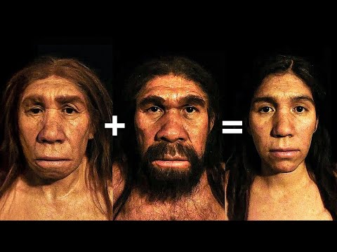 Le Ultime Scoperte sull'Evoluzione Umana che Riscrivono la Storia