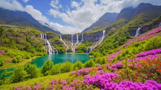 Healing Music for Inner Peace 🌿 Stress Relief, Great Relaxing Music