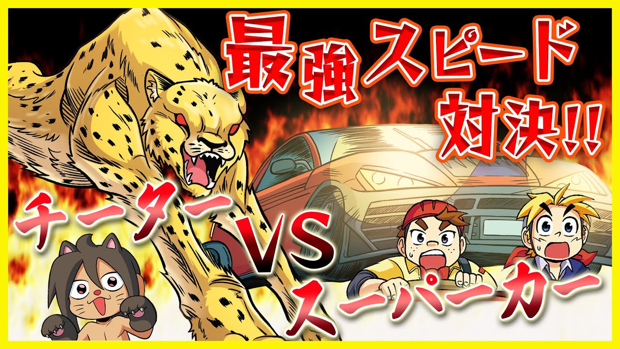 【どっちが強い】チーターとスーパーカー最速バトル！勝つのはどっちだ！？【漫画】