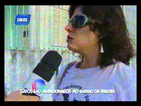 GATOS ABANDONADOS RIBEIRA  23 07 2012  REPORTER  GUILHERME SANTOS   BALANÇO GERAL BA
