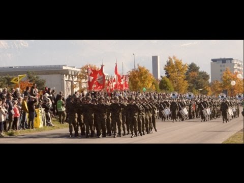 Swiss Military Parade 2016